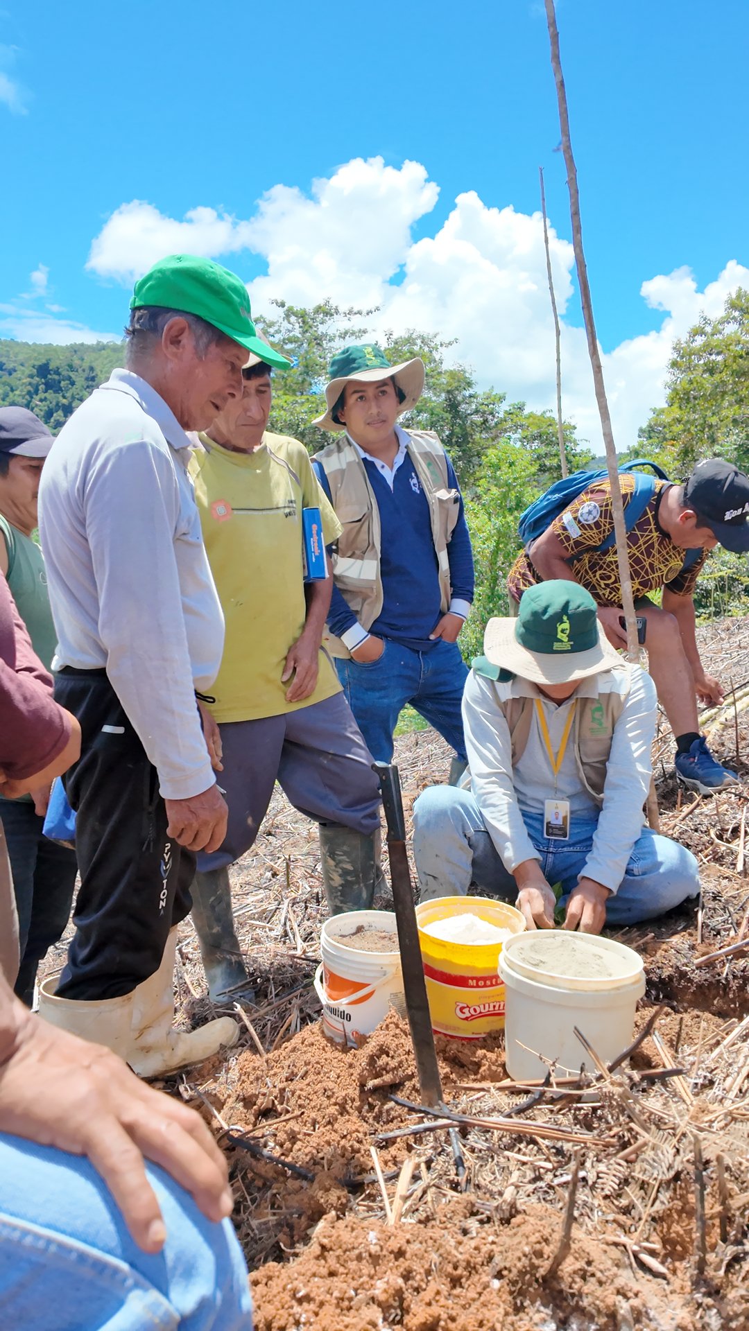 Escuelas de campo de agricultores